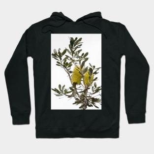 Banksia SYD02 Hoodie